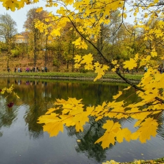 Тарханская осень