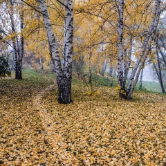 Тарханская осень