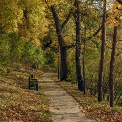Тарханская осень