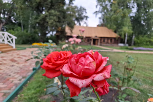 В последний день лета...